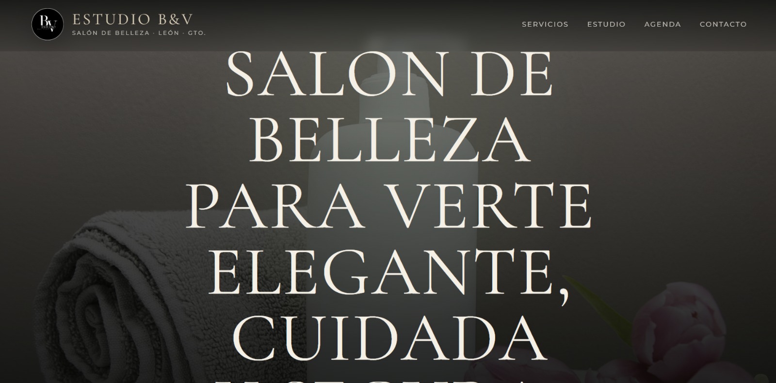 Vista previa del sitio web Estudio BV